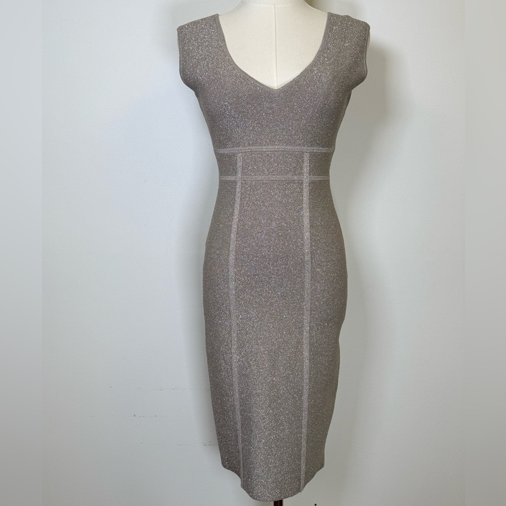 BCBG MaxAzria ‘Ribel’ Bodycon V-Neck Sleeveless Dress Women’s Size Small